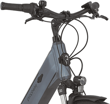 Prophete E-Bike Cityrad Geniesser 2.8, 7 Gang Shimano Nexus Schaltwerk, Nabenschaltung, Frontmotor, 360 Wh, Pedelec, Elektrofahrrad für Damen u. Herren
